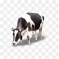 牛犊图标-奶牛