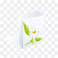 壁纸洗衣粉