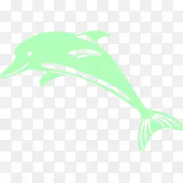 海豚-简单的绿色海豚