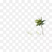 垫角图样-椰子树