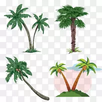 槟榔科免费内容剪贴画-椰子树