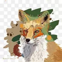 水彩画狐狸插图-画狼