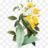 皮埃尔？约瑟夫？雷德克斯9(1759-1840)月季帆布印花-菊花