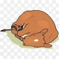 牛犊狗睡眠夹艺术休息鹿