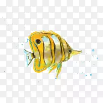 水彩画热带鱼艺术.吻黄鱼图片材料