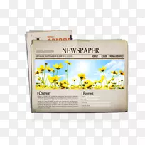 报纸印刷花-报纸向日葵