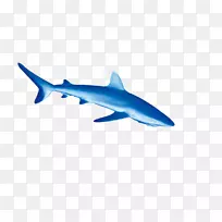 虎鲨深海鱼类海豚