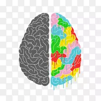 脑功能侧面化人脑海报.数学透明图片