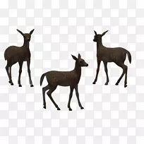 鹿麋鹿野生动物插图-免费鹿图片