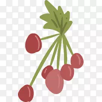 弗鲁蒂·迪博斯科樱桃浆果-卡通浆果