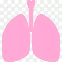 爱情-小肺片