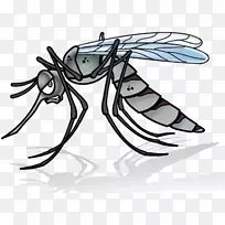 蚊子卡通插图-一只蚊子