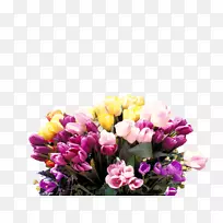 花园玫瑰，小米米瓦吉花卉设计，郁金香切花.郁金香