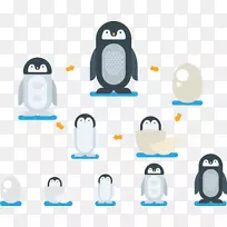 企鹅卡通插图-孵化企鹅