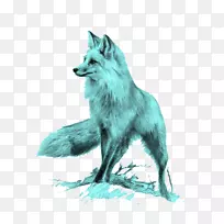 红狐画猫蓝狐