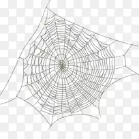 蜘蛛网绘图.蜘蛛网图案图像