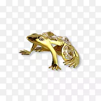 真蛙爬行动物金黄-金蛙