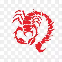 蝎子纹身-蝎子