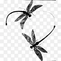 手指胡子纹身蜻蜓画袖纹身-爱蜻蜓