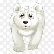 北极熊棕熊插图卡通北极熊
