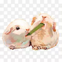 兔水彩画卡通-宠物鼠