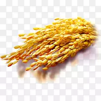 米糠油粥扫帚-玉米-米，米