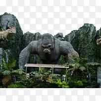 恐龙公园常州红梅公园动物医院常州图片广告有限公司。-常州恐龙公园猩猩