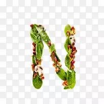 维生素e，硫辛酸，烟酸，鸟酸-蔬菜组成字母n。
