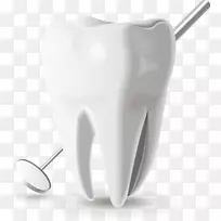 牙齿口腔-医学牙科模型图标