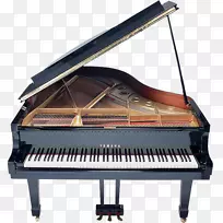 钢琴下载乐器-钢琴