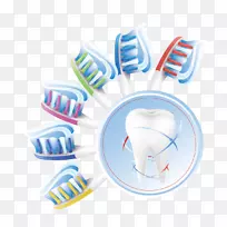 人类牙齿欧式牙齿清洁.牙齿和牙刷