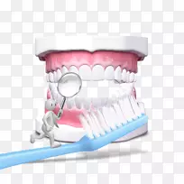 牙科牙龈-免牙刷牵引材料