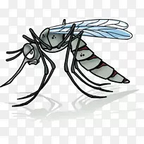 蚊子卡通插图-蚊子