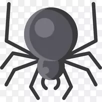 蜘蛛网爬虫网站开发搜索引擎优化-黑蜘蛛