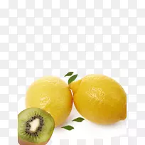 柠檬黄奥格里斯水果-黄色水果柠檬