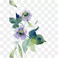 水彩画水彩：花卉设计水彩画花卉