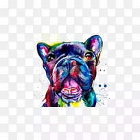法国斗牛犬画水彩画