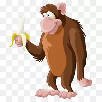 黑猩猩灵长类猴子香蕉-小猴子