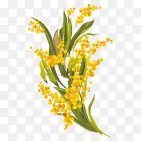 花卉设计普通雏菊-黄色雏菊元素