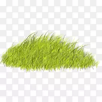 植物2752(U0639u062fu062f)2753(U0639u062fu062f)2743(U0639u062fu062f)-美丽的绿草