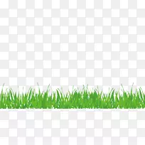 草坪绿草-无扣绿草创意绿草
