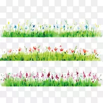 水彩画花卉摄影.用盛开的花朵画草边