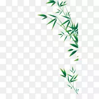 绿竹-绿竹叶