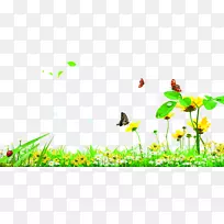 蝴蝶花园草坪-绿色花园草蝴蝶