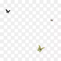 鸟绿角图案-蝴蝶花瓣浮泡，简约典雅