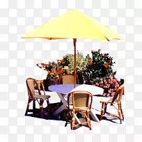 雨伞广告花园家具-花园，景观，树木，太阳伞