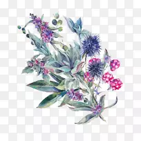 花卉设计水彩画收藏摄影花卉水彩画