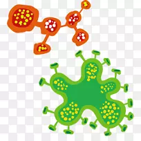 平面病毒细胞的细胞剪贴术