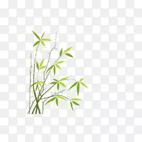 竹子版税-免费摄影插图.竹子
