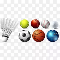 运动器材羽毛球球拍-各种球类游戏